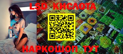 ешки Гудермес